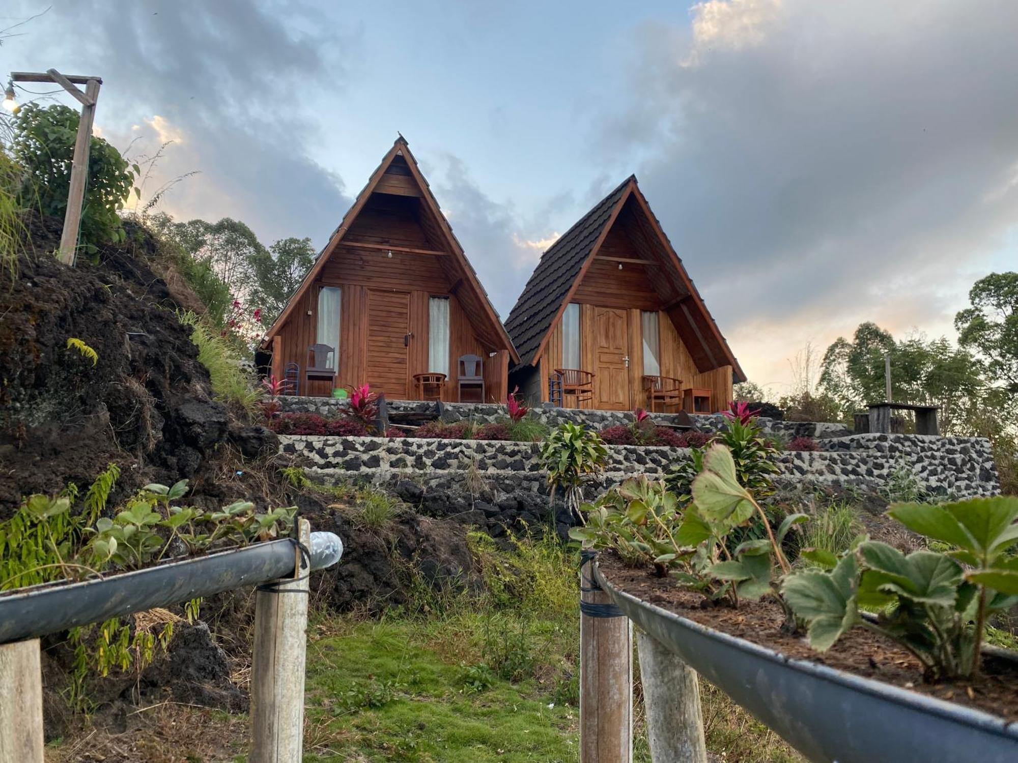 מלון Kintamani D' Tepi Danau Glamping מראה חיצוני תמונה